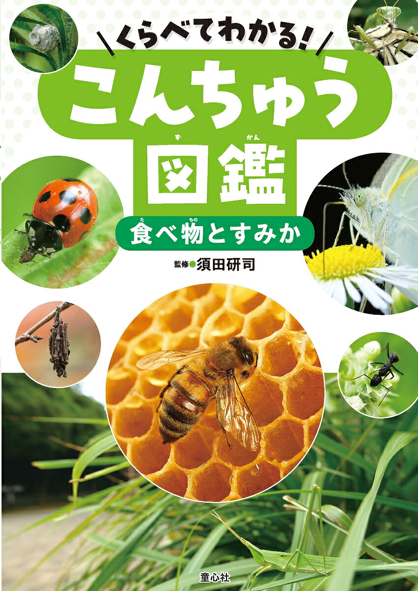 くらべてわかる！こんちゅう図鑑食べ物とすみか（第4巻）[須田研司]
