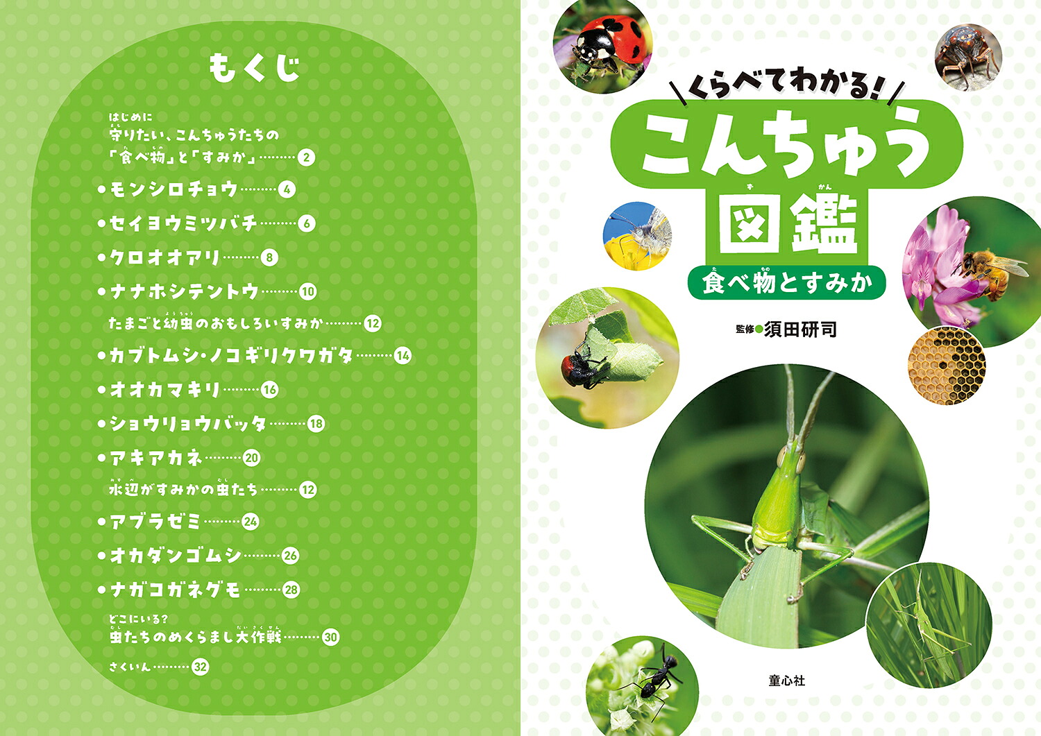 くらべてわかる！こんちゅう図鑑食べ物とすみか（第4巻）[須田研司]
