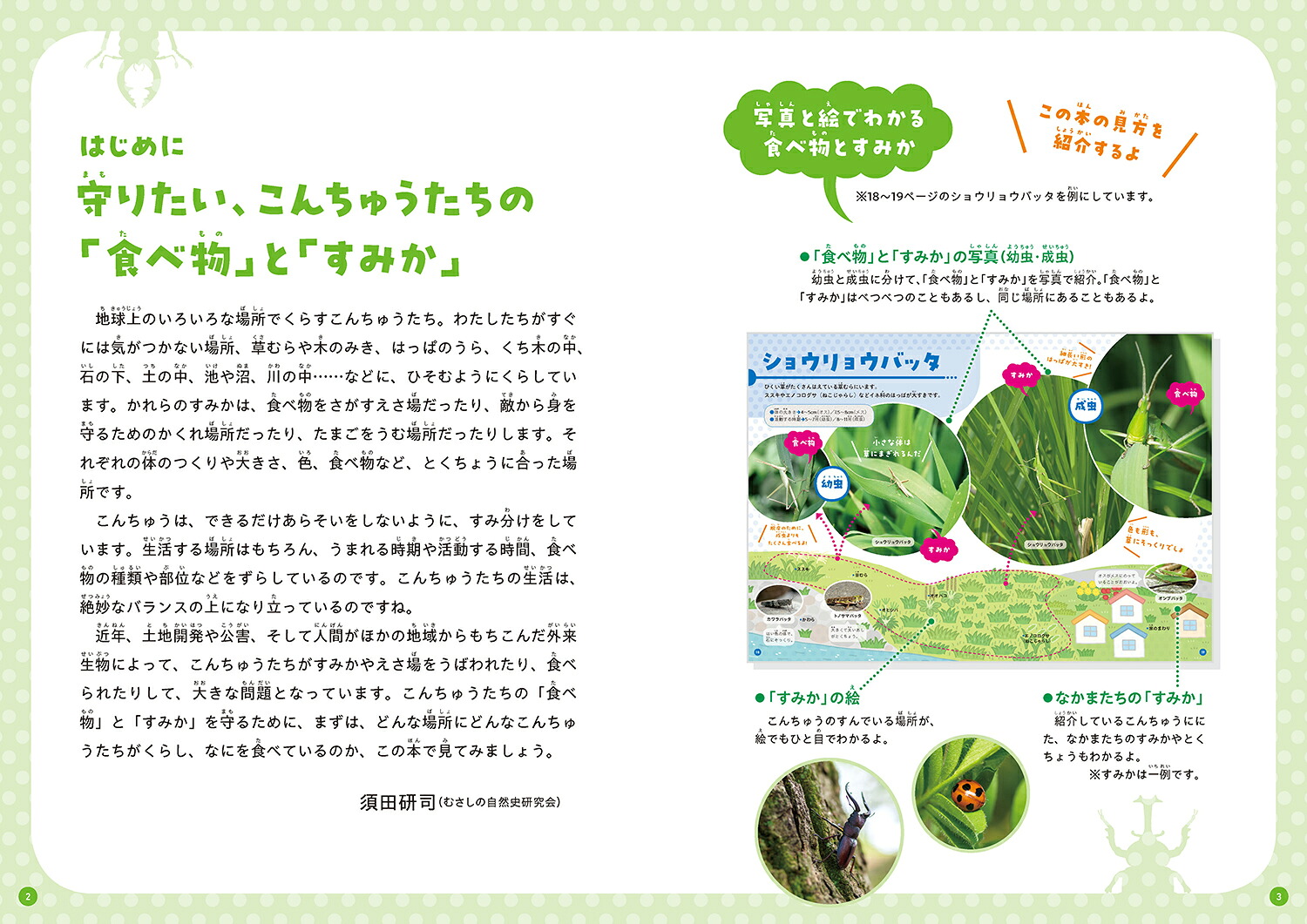 くらべてわかる！こんちゅう図鑑食べ物とすみか（第4巻）[須田研司]