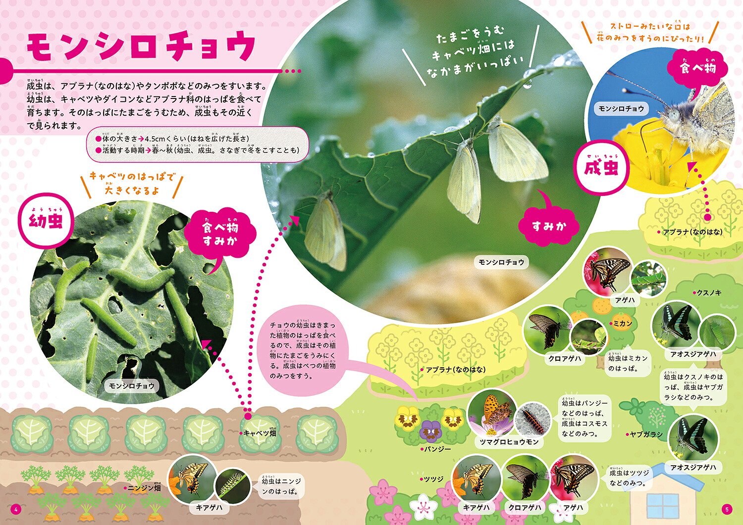 くらべてわかる！こんちゅう図鑑食べ物とすみか（第4巻）[須田研司]