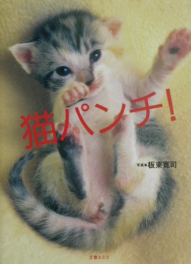 楽天ブックス 猫パンチ 板東寛司 本