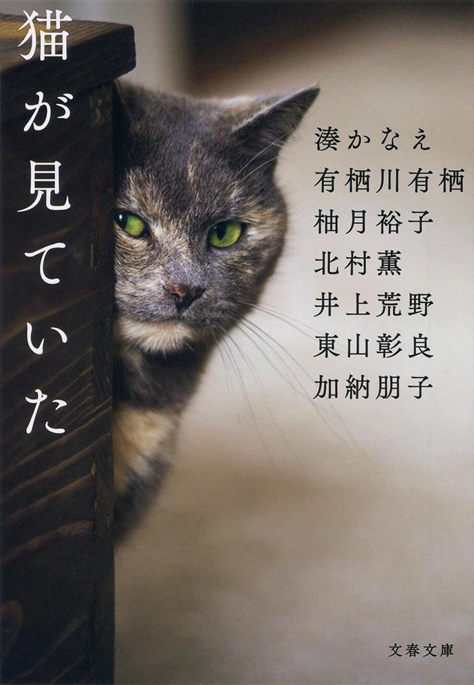 楽天ブックス: 猫が見ていた - 湊 かなえ - 9784167908904 : 本