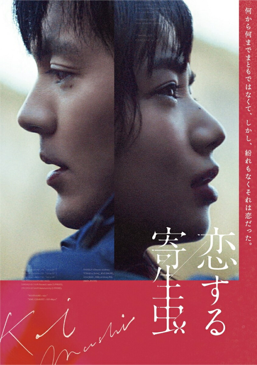 最新入荷 Dvd Netflixオリジナルドラマ 火花 Dvd Box 店舗受取可 林遣都 日本 Vodocentar Com