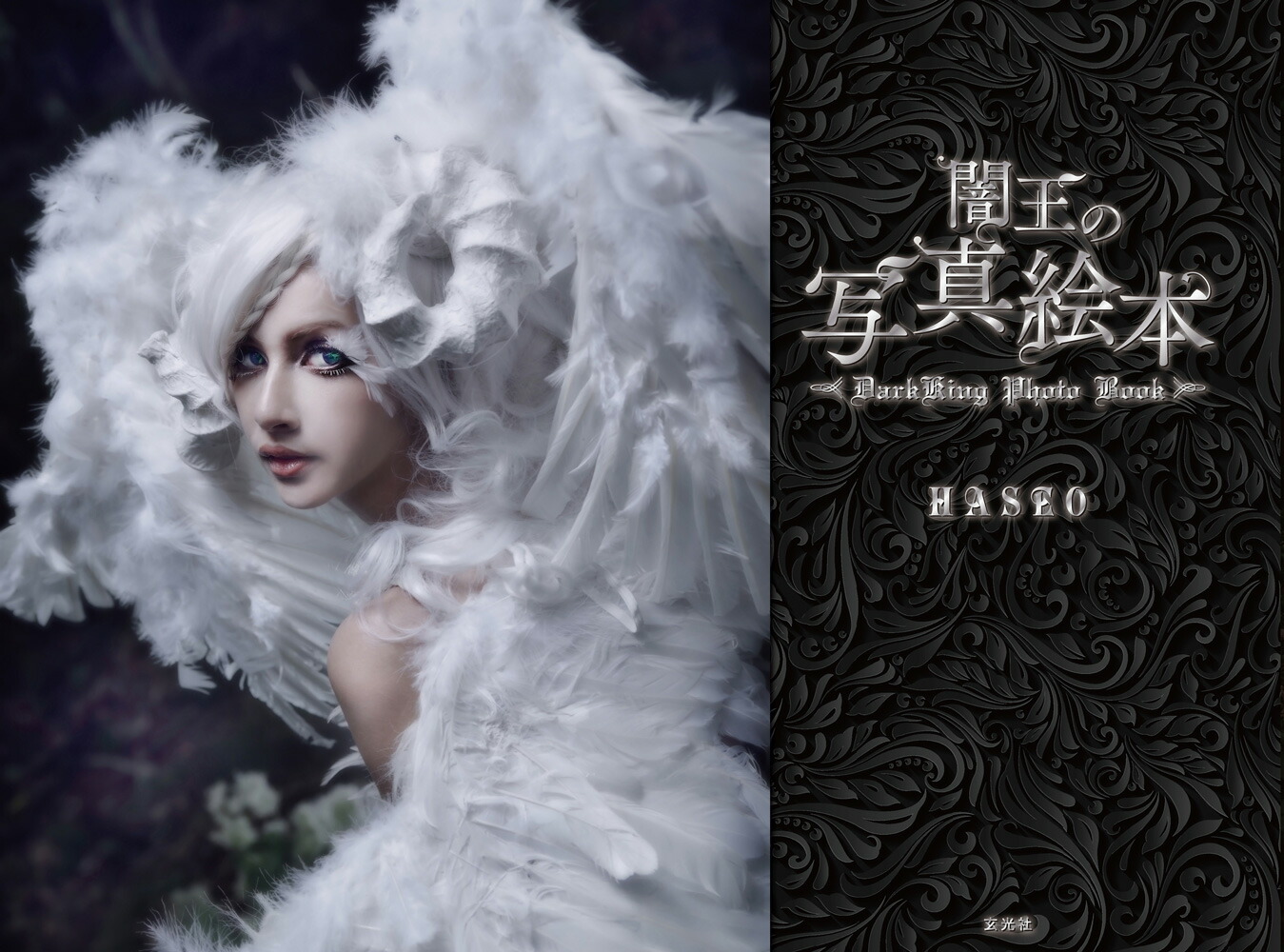 darkking 楽天ブックス: 闇王の写真絵本 - 9784768308905 : 本