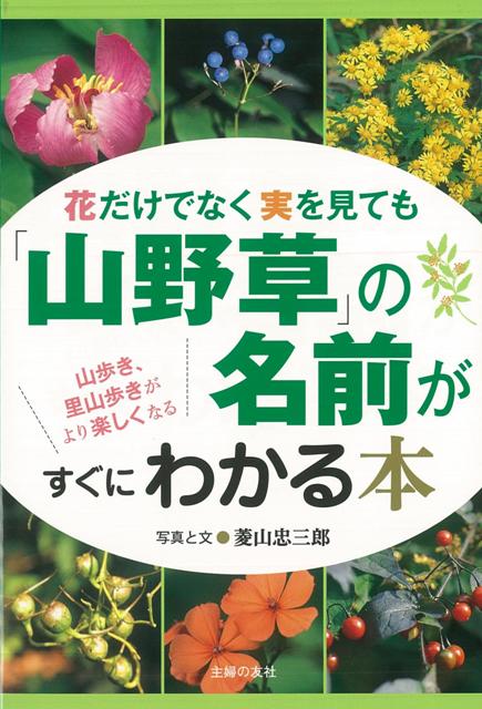 楽天ブックス バーゲン本 花だけでなく実を見ても山野草の名前がすぐにわかる本 菱山 忠三郎 本