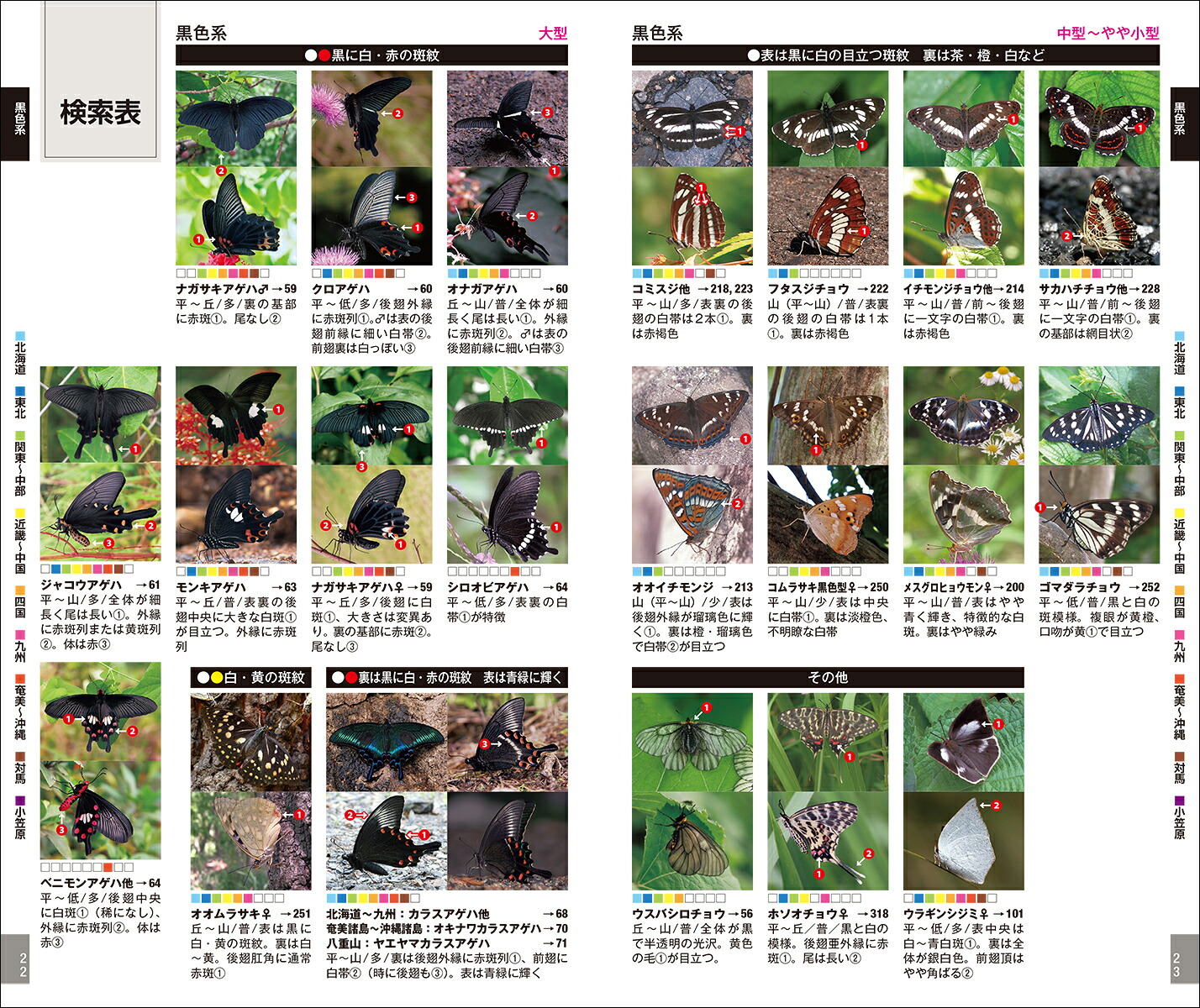 楽天ブックス 増補改訂版 日本のチョウ 日本産全種がフィールド写真で検索可能 日本チョウ類保全協会 9784416518915 本