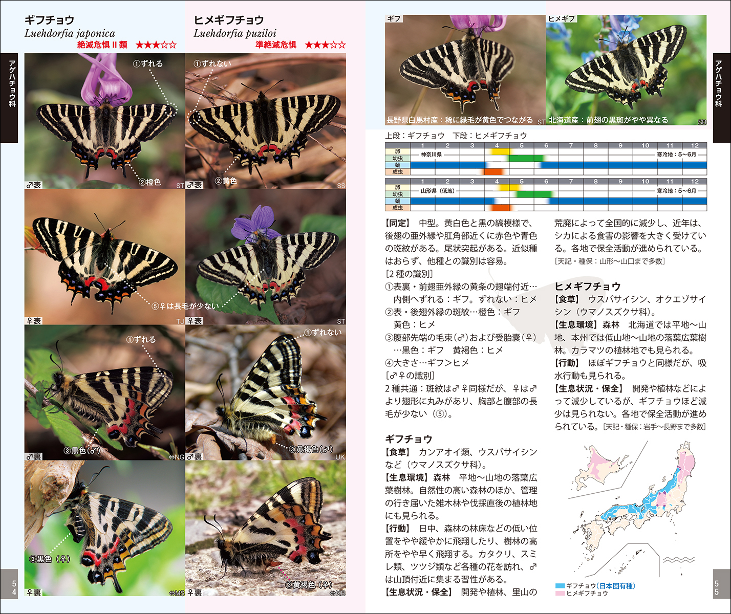 楽天ブックス 増補改訂版 日本のチョウ 日本産全種がフィールド写真で検索可能 日本チョウ類保全協会 本