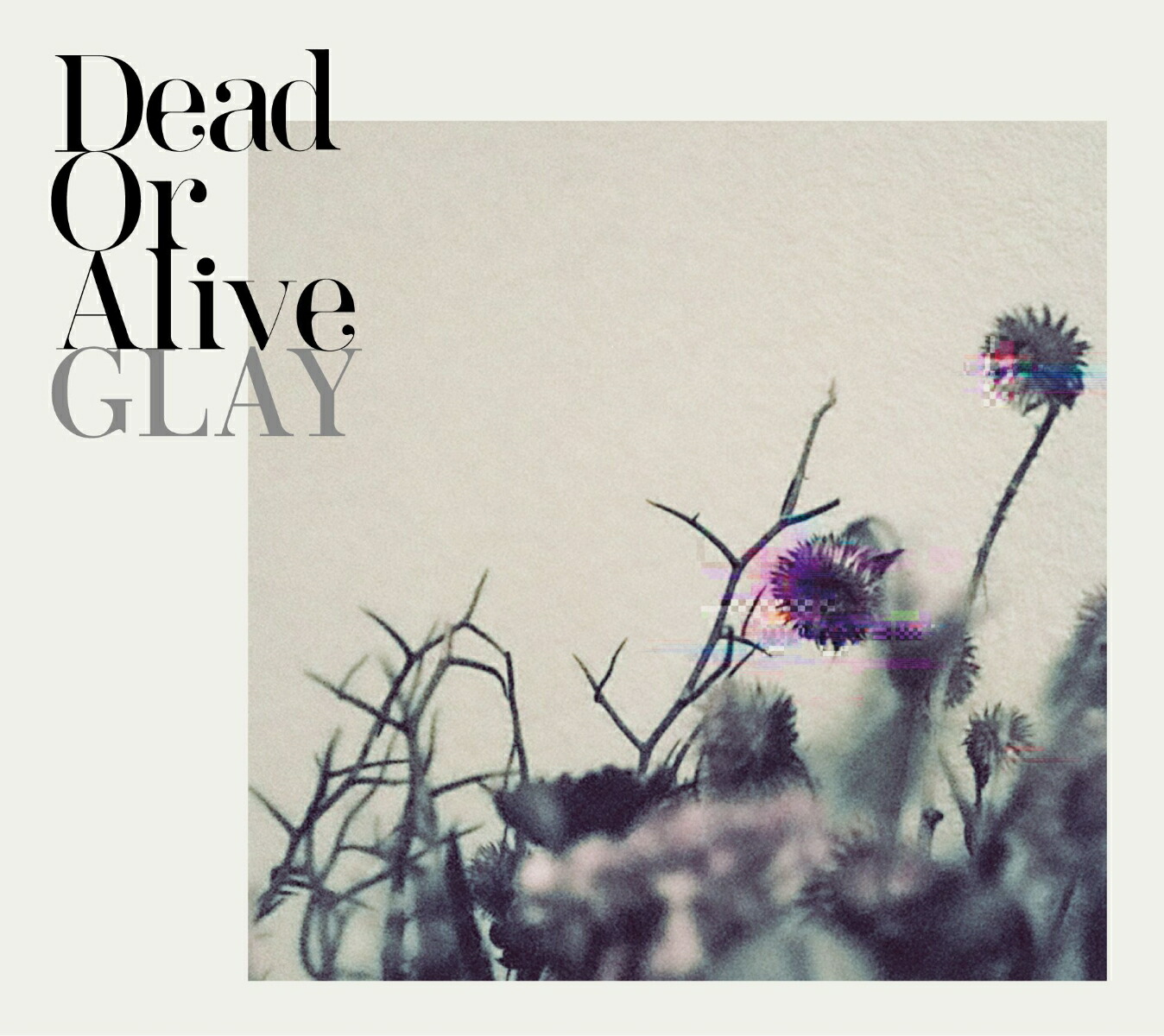 Dead Or Alive (CD ONLY)画像