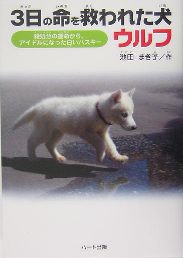 楽天ブックス 3日の命を救われた犬ウルフ 殺処分の運命から アイドルになった白いハスキー 池田まき子 本