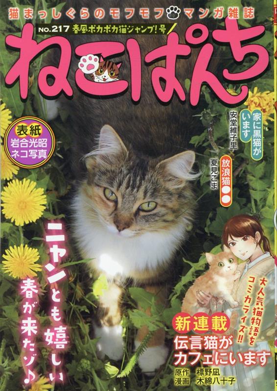 大切な人へのギフト探し 楽天ブックス: 春風ポカポカ猫ジャンプ！号 ねこぱんち 時計