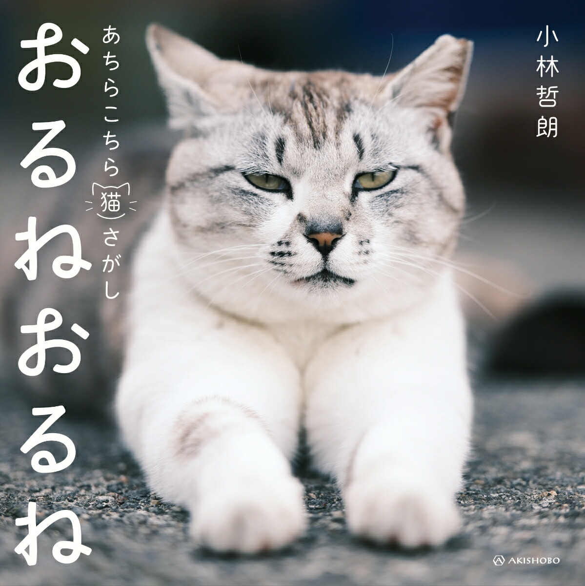 楽天ブックス: おるねおるね - あちらこちら猫さがし - 小林 哲朗