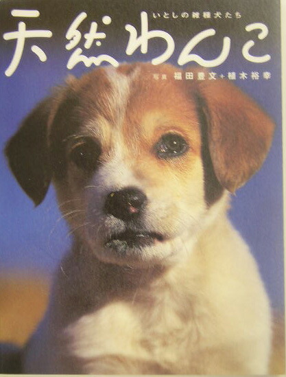 楽天ブックス: 天然わんこ - いとしの雑種犬たち - 福田豊文 - 9784896336023 : 本