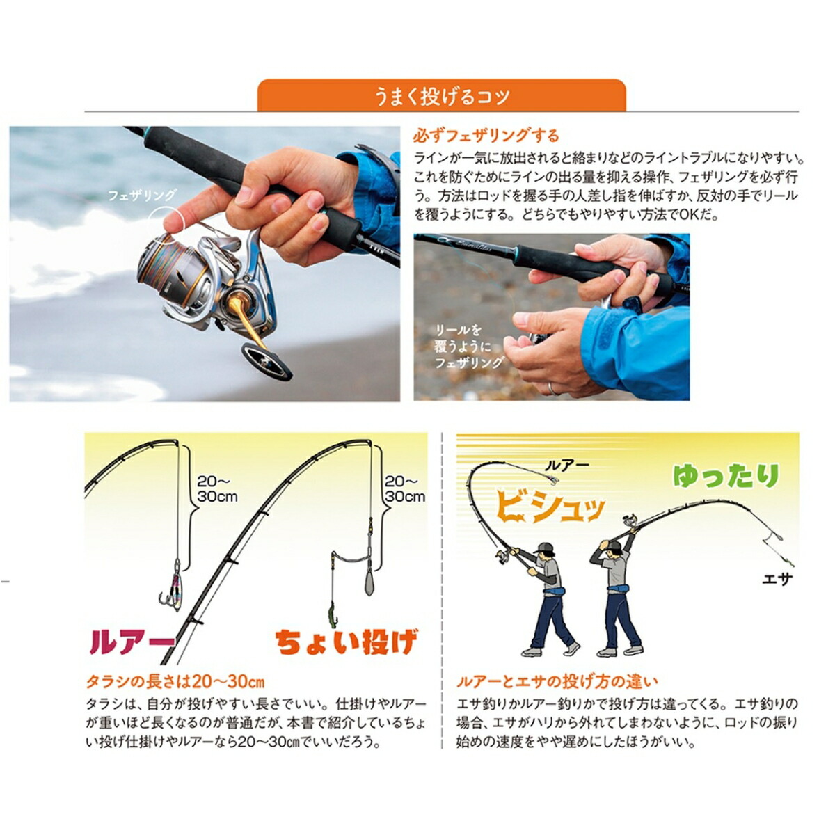 楽天ブックス: 最低限の知識と道具で楽しむ 海釣り超入門 - 9784594618964 : 本