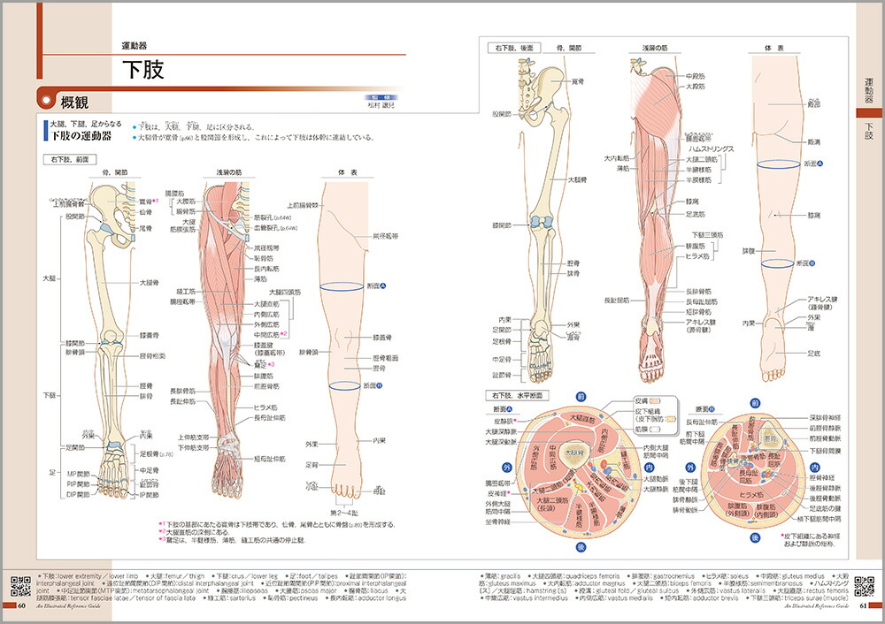��������ߤ�����Τι�¤�ȵ�ǽ[���ž���ʳظ����]