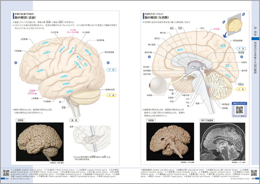 ��������ߤ�����Τι�¤�ȵ�ǽ[���ž���ʳظ����]