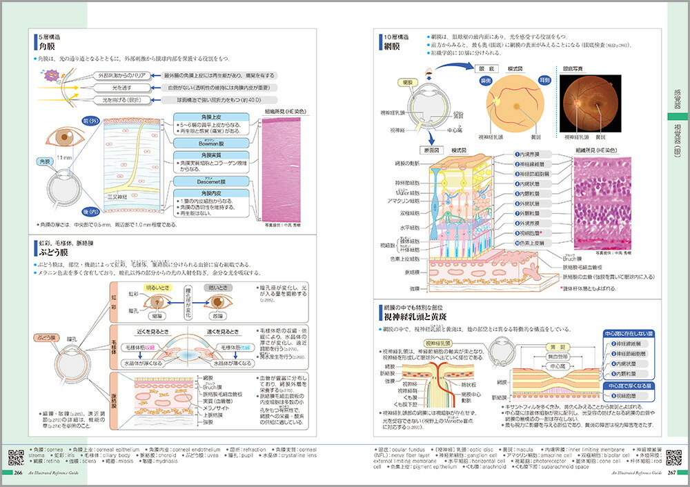 ��������ߤ�����Τι�¤�ȵ�ǽ[���ž���ʳظ����]