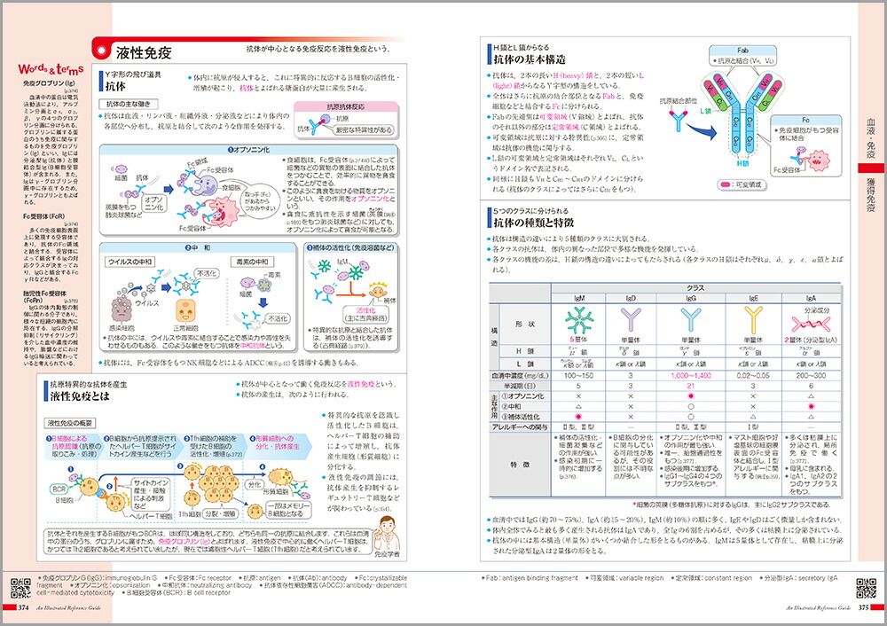 ��������ߤ�����Τι�¤�ȵ�ǽ[���ž���ʳظ����]