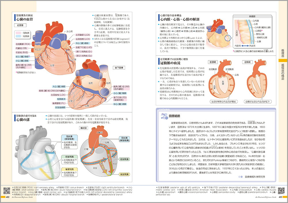 ��������ߤ�����Τι�¤�ȵ�ǽ[���ž���ʳظ����]