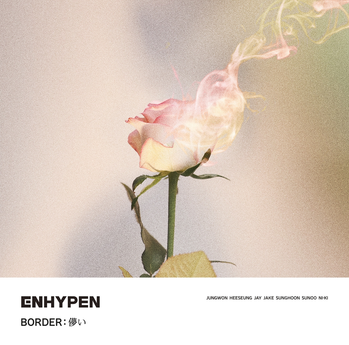 楽天ブックス Border 儚い 通常盤 初回プレス Enhypen Cd