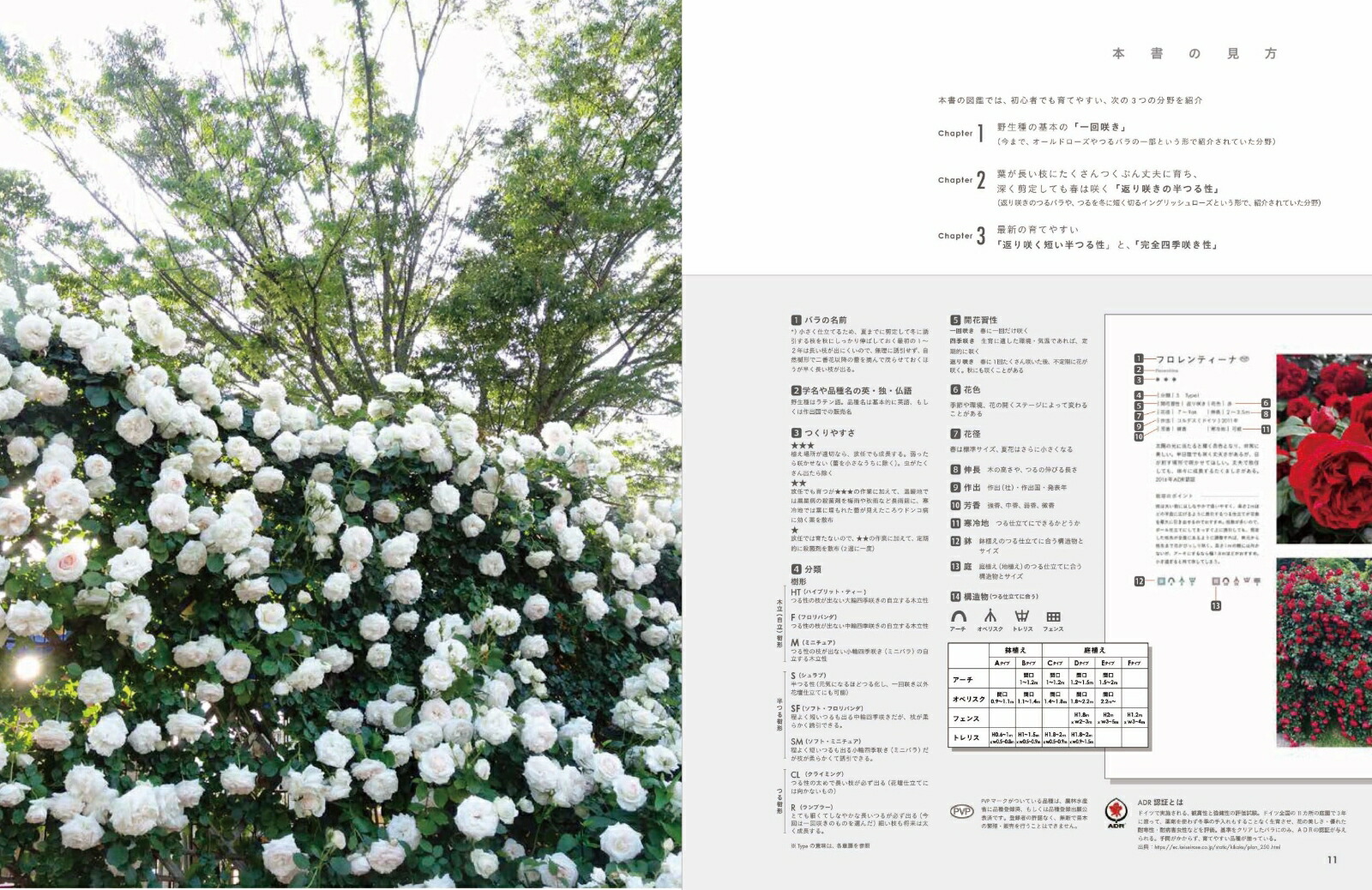 ������䤵�����Х�Ť����Ƥ䤹���ʼ�����֤���[¼����]