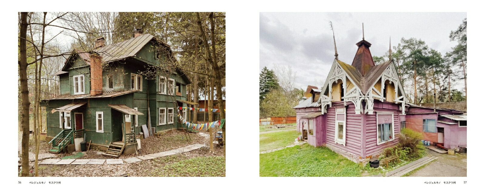 �������㼺���椯���ӥ��Ȼ���ξ����ȥ��ơ���[�ե硼�ɥ롦��������ĥ���]