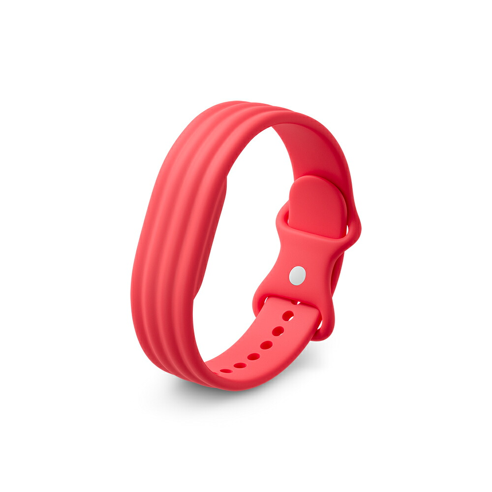 GoogleFitbitAir,ActiveBand,Berry,Small,WW
