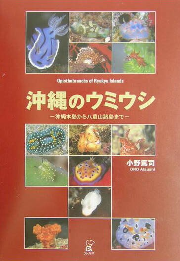 楽天ブックス 沖縄のウミウシ 沖縄本島から八重山諸島まで 小野篤司 本