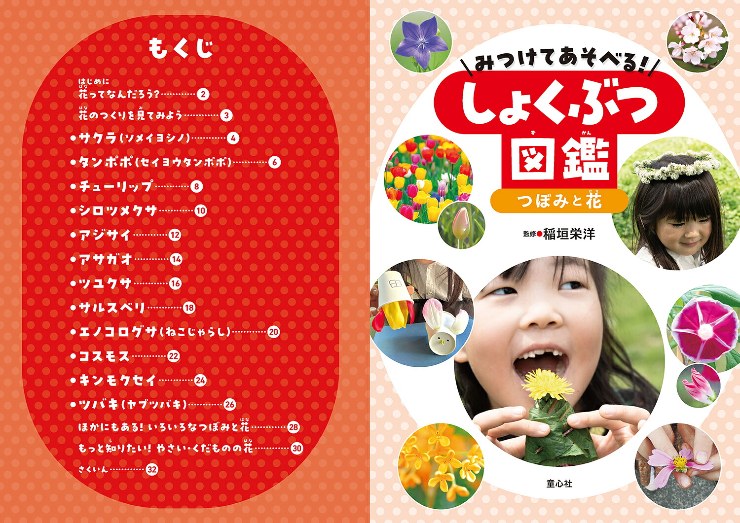 みつけてあそべる！しょくぶつ図鑑つぼみと花[稲垣栄洋]