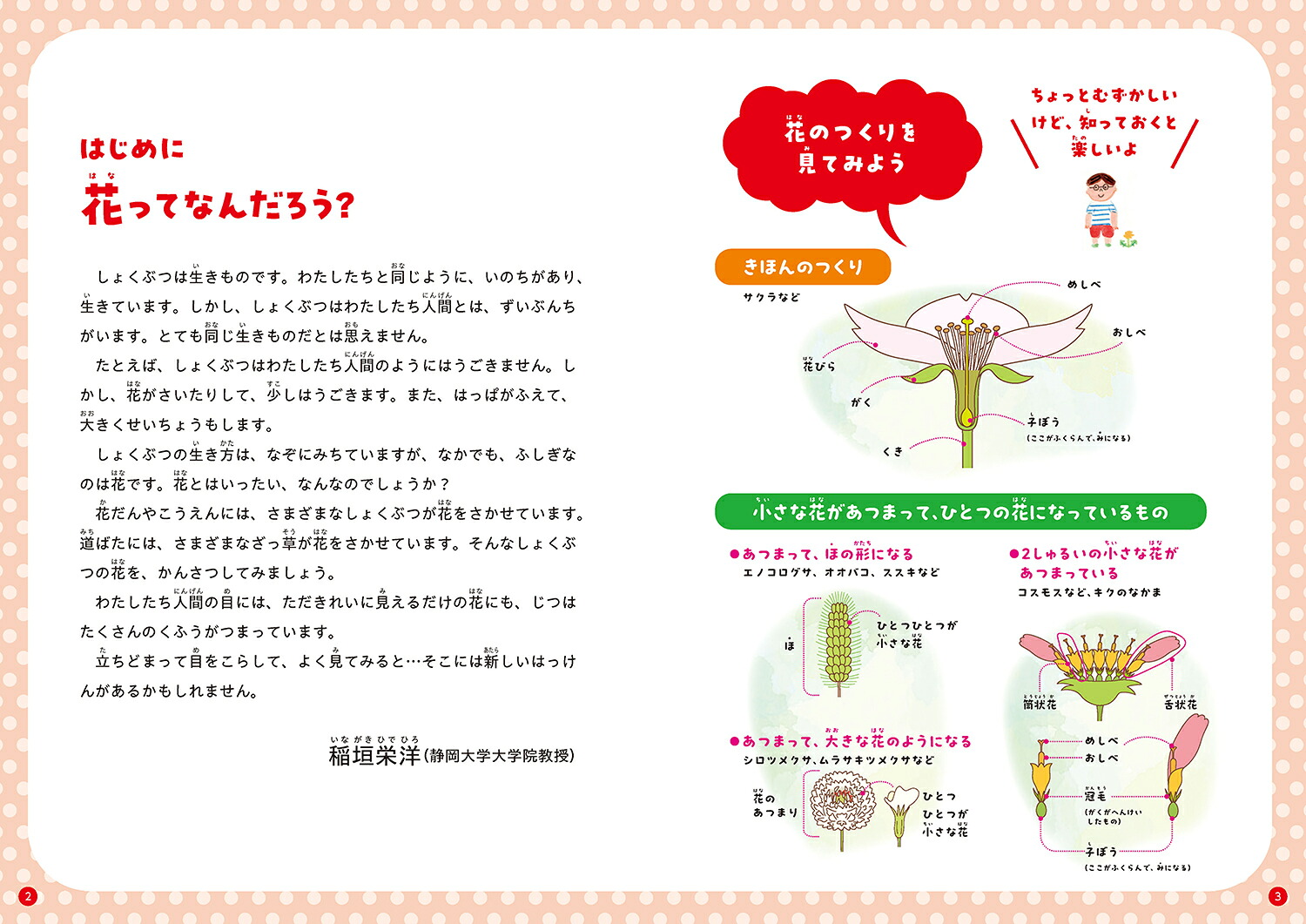 みつけてあそべる！しょくぶつ図鑑つぼみと花[稲垣栄洋]