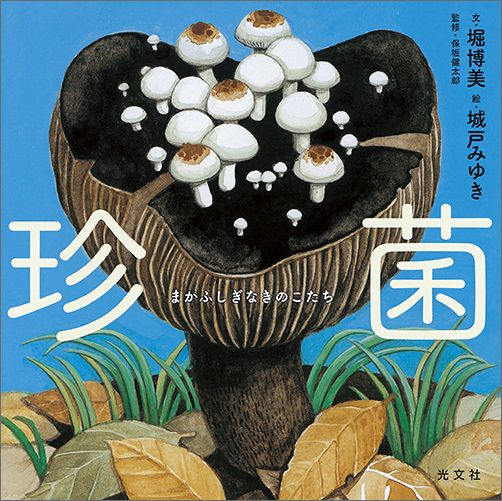 珍菌まかふしぎなきのこたち[堀博美]