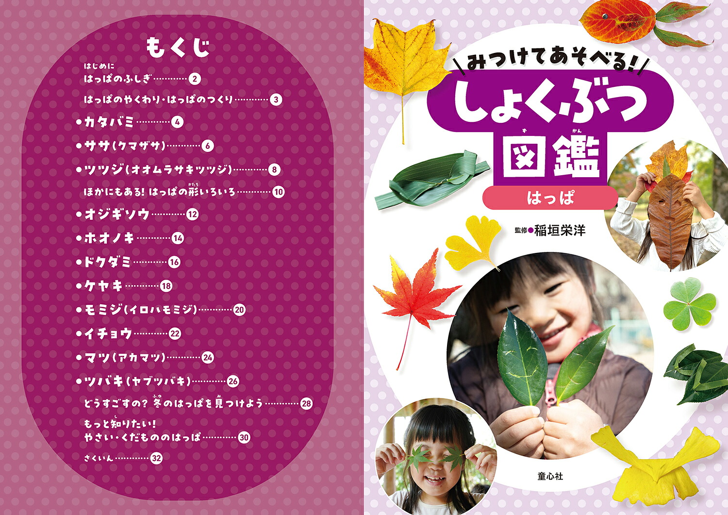 みつけてあそべる！しょくぶつ図鑑はっぱ[稲垣栄洋]