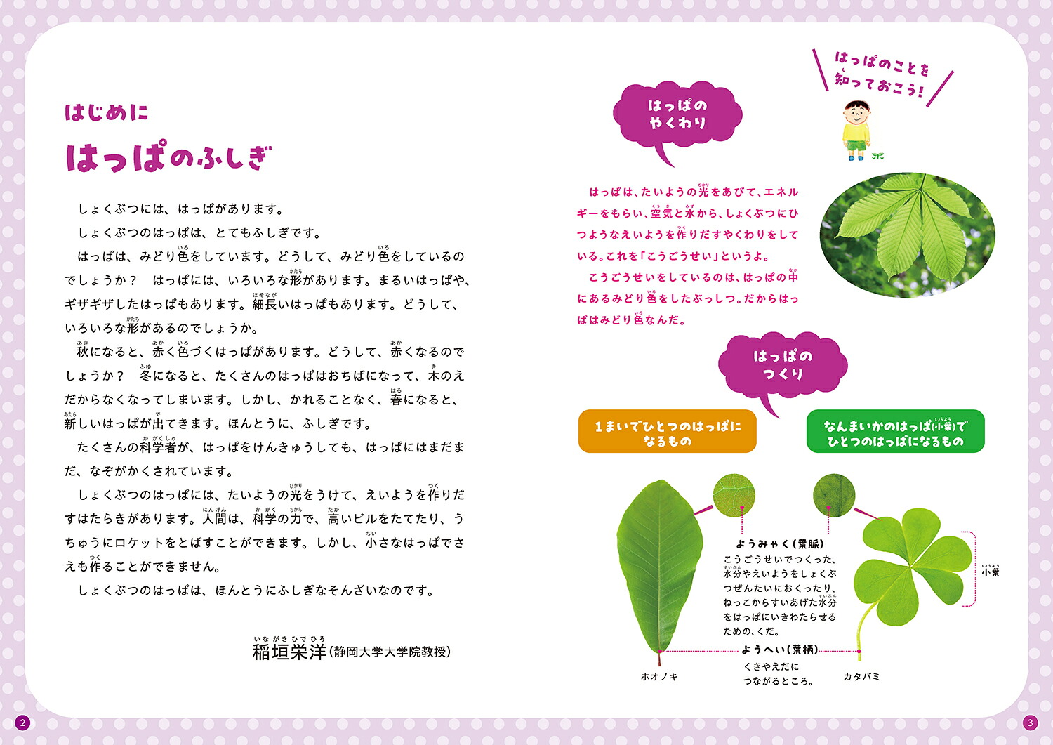 みつけてあそべる！しょくぶつ図鑑はっぱ[稲垣栄洋]