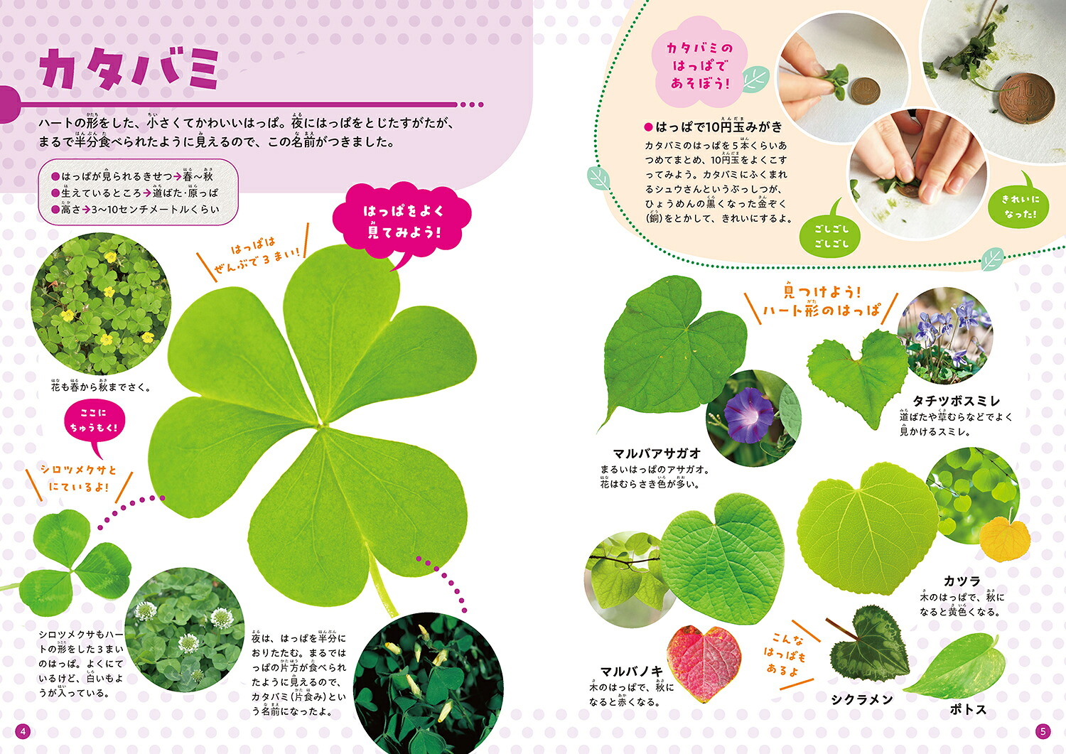 みつけてあそべる！しょくぶつ図鑑はっぱ[稲垣栄洋]
