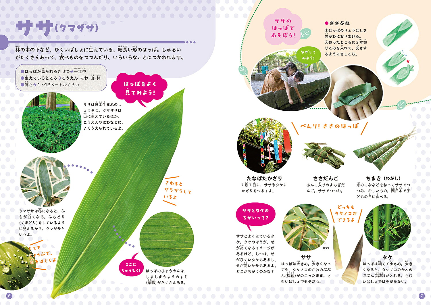 みつけてあそべる！しょくぶつ図鑑はっぱ[稲垣栄洋]