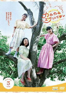 連続テレビ小説 カムカムエヴリバディ 完全版 DVD BOX3画像