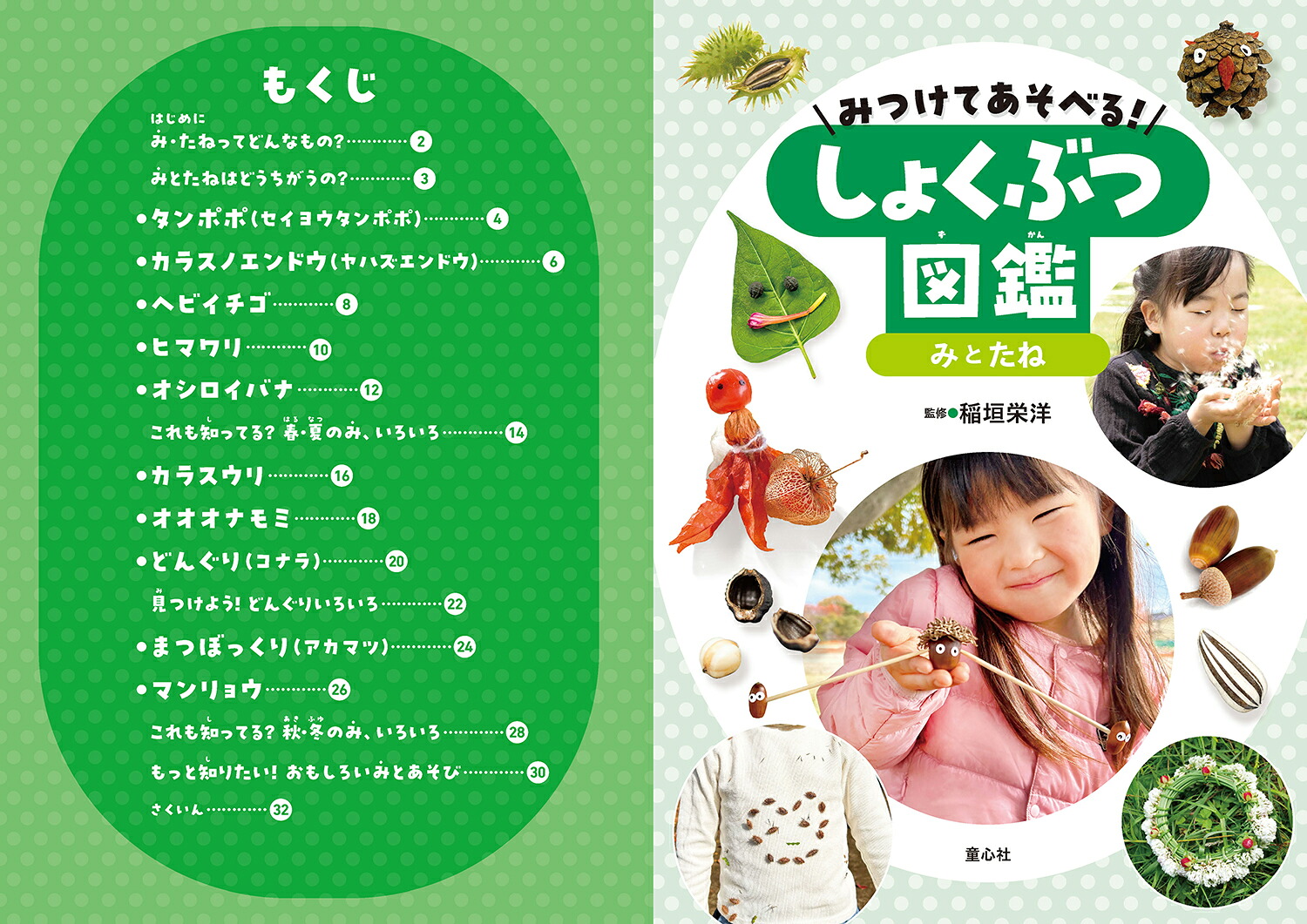 みつけてあそべる！しょくぶつ図鑑みとたね[稲垣栄洋]