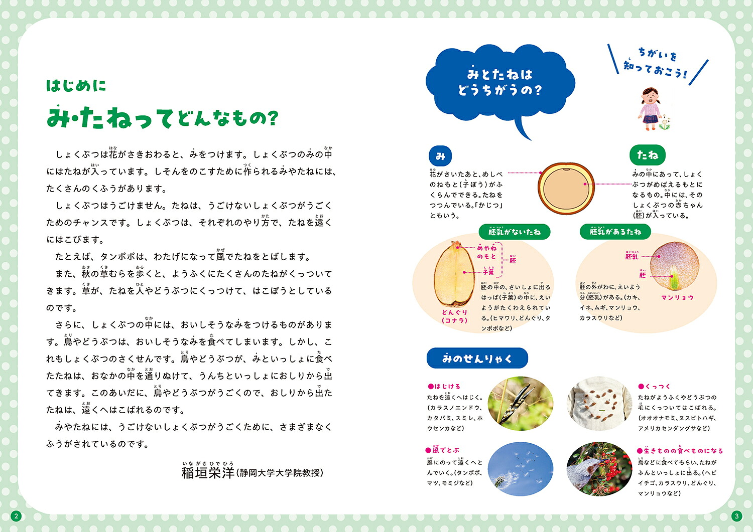みつけてあそべる！しょくぶつ図鑑みとたね[稲垣栄洋]