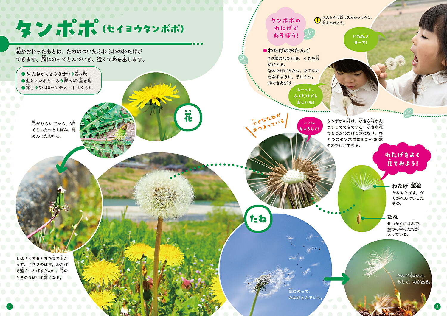 みつけてあそべる！しょくぶつ図鑑みとたね[稲垣栄洋]
