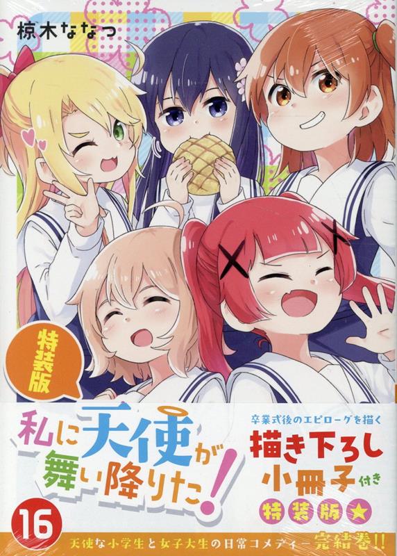 私に天使が舞い降りた!16 特装版画像