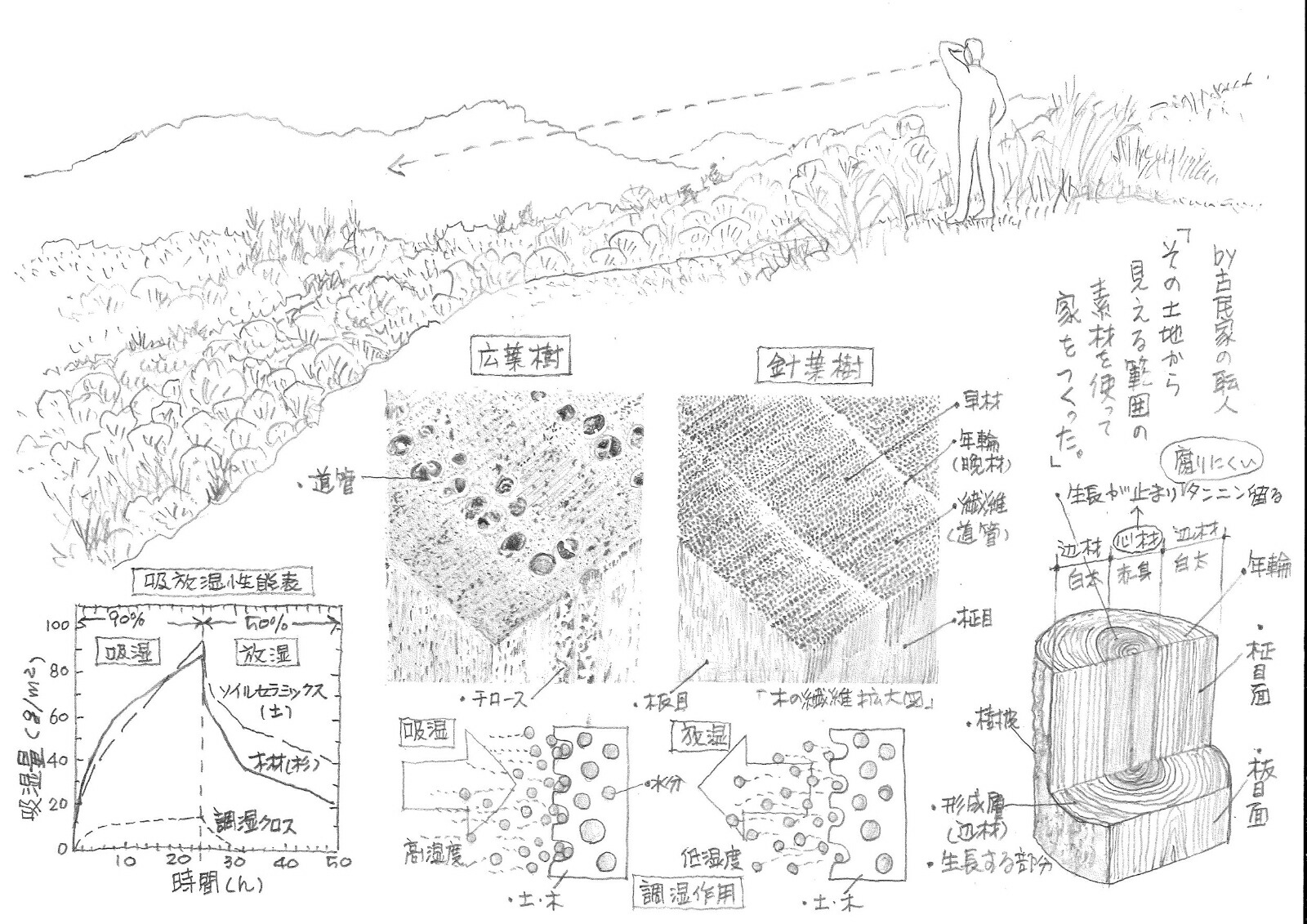 楽天ブックス 初めての人にもできる 古民家再生絵本 本