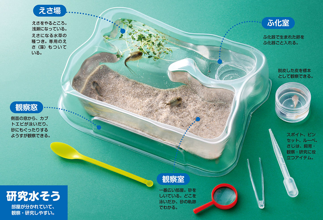 �ظ��βʳظ�����ʪ���֥ȥ��Ӥ������񤫤����Ǥ��롪[�ظ��βʳ��Խ���]