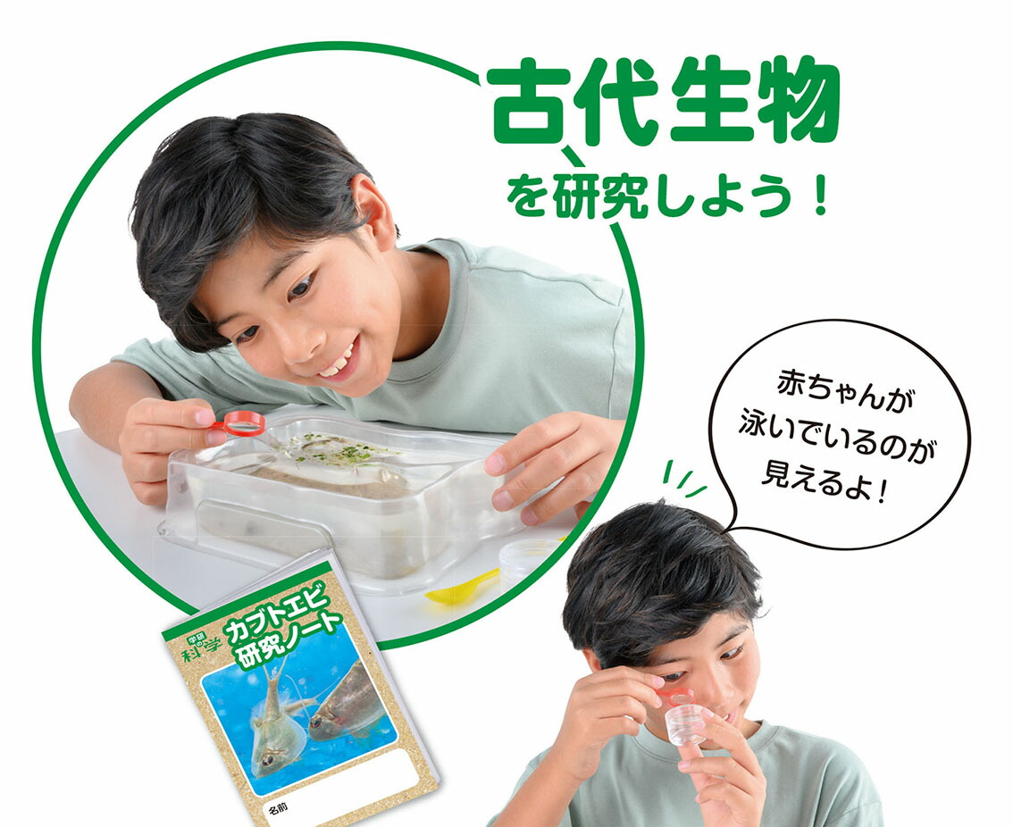 �ظ��βʳظ�����ʪ���֥ȥ��Ӥ������񤫤����Ǥ��롪[�ظ��βʳ��Խ���]