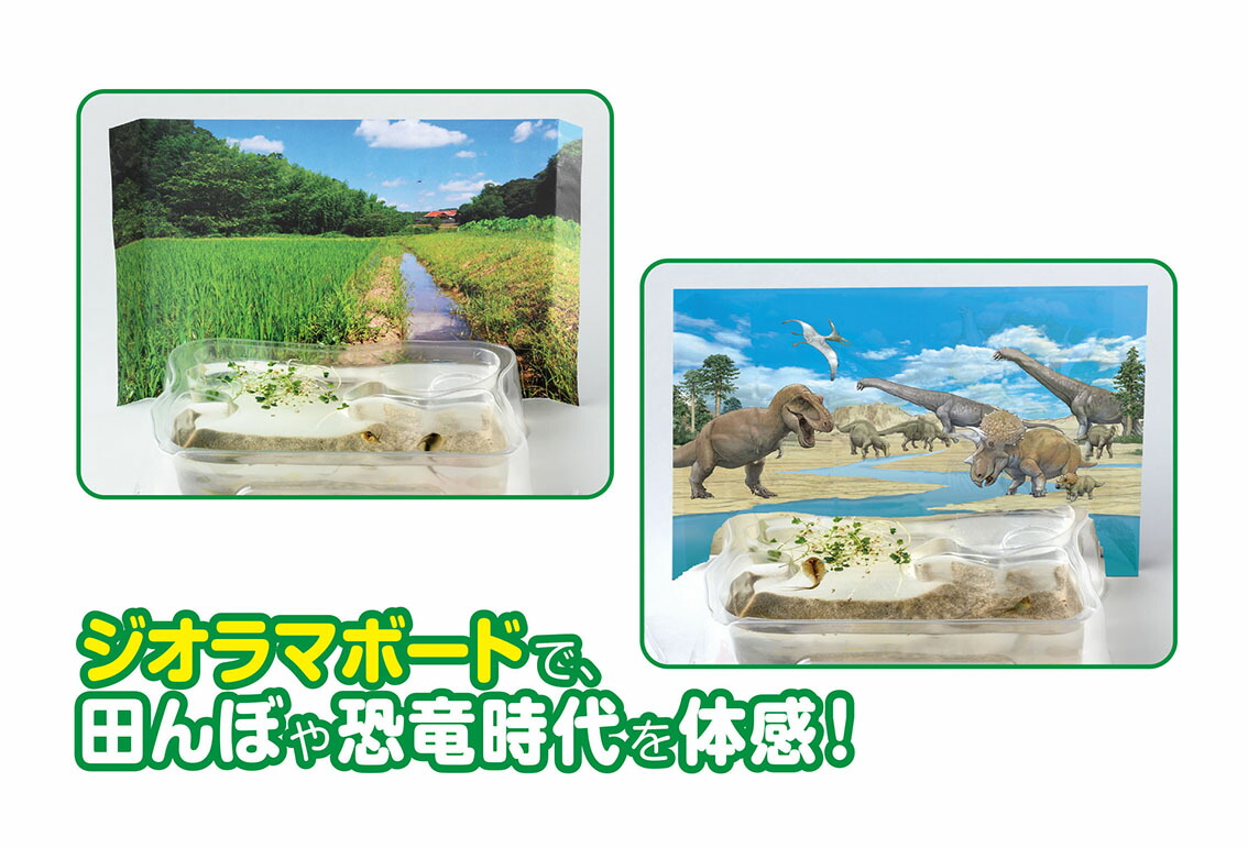 �ظ��βʳظ�����ʪ���֥ȥ��Ӥ������񤫤����Ǥ��롪[�ظ��βʳ��Խ���]