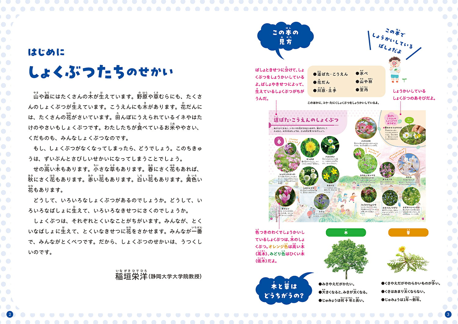 みつけてあそべる！しょくぶつ図鑑ばしょときせつ[稲垣栄洋]