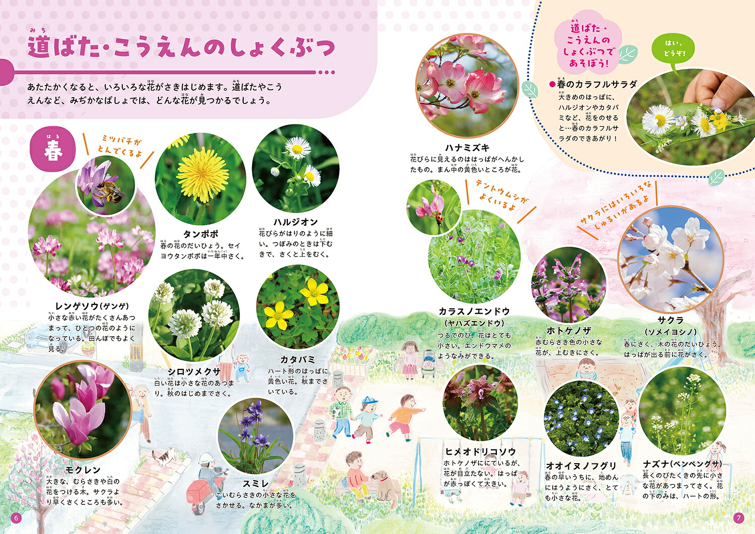 みつけてあそべる！しょくぶつ図鑑ばしょときせつ[稲垣栄洋]
