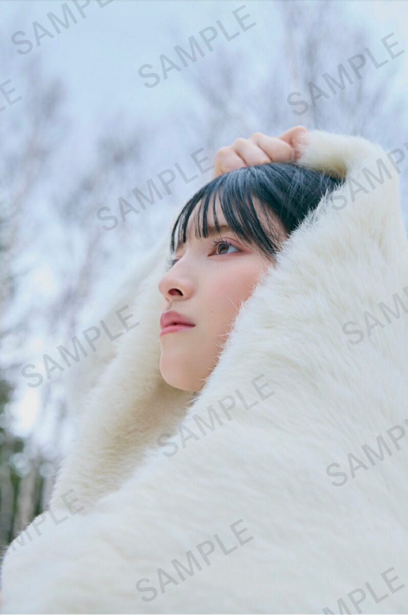 �ڳ�ŷ�֥å���������ŵ�ۡڼ�������ۡ�ľɮ����������ۿ��İ���1st�̿����֤��Τ����ס��̾��ǡ�(���ꥸ�ʥ륹�ƥå�������3���������1��)[���İ���]