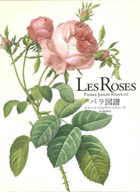 楽天ブックス: 【バーゲン本】LES ROSES バラ図譜 - ピエール