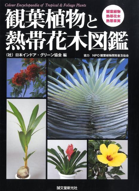 楽天ブックス 観葉植物と熱帯花木図鑑 観葉植物 熱帯花木 熱帯果実 日本インドア グリーン協会 本