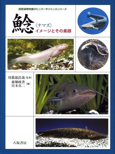 ナマズの掛け花入れ Bhinternalmedicine Com