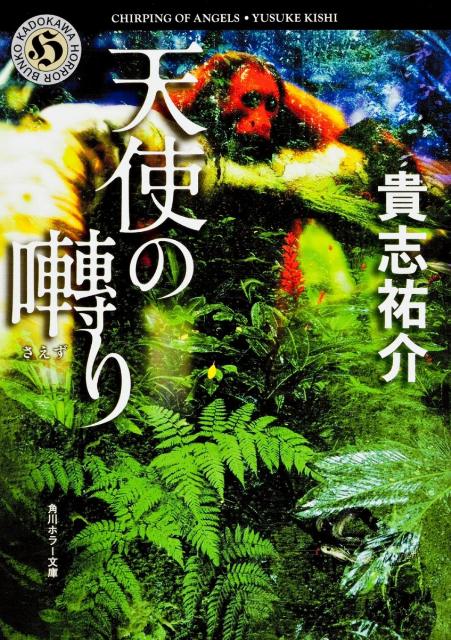 天使の囀り 表紙